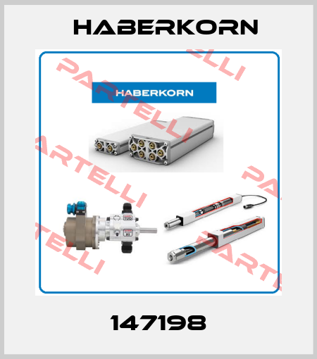 147198 Haberkorn