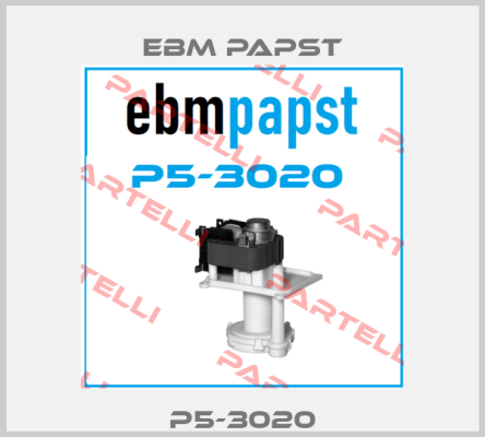 P5-3020 EBM Papst