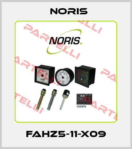 FAHZ5-11-X09 Noris