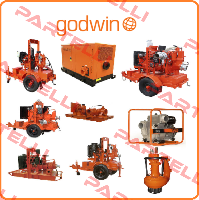 3810134112A Godwin Pumps