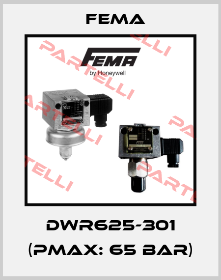 DWR625-301 (pmax: 65 bar) FEMA