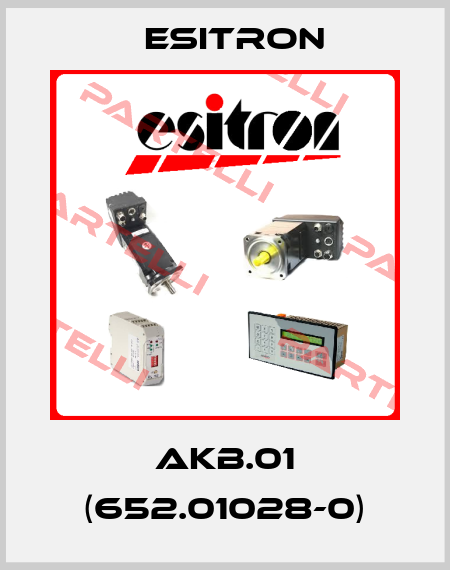 AKB.01 (652.01028-0) Esitron