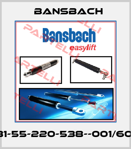 B1B1-55-220-538--001/600N Bansbach