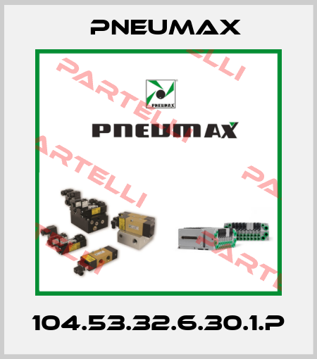 104.53.32.6.30.1.P Pneumax