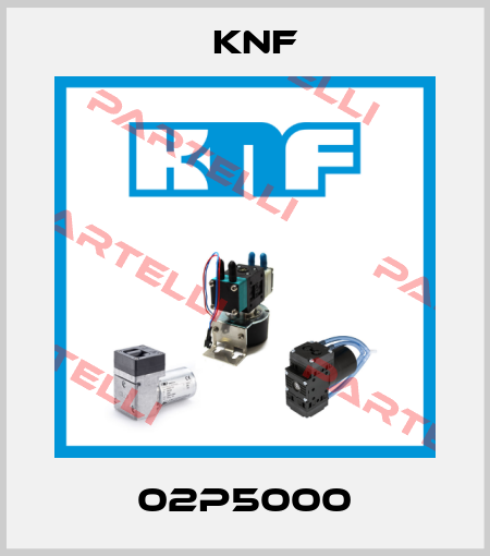 02P5000 KNF