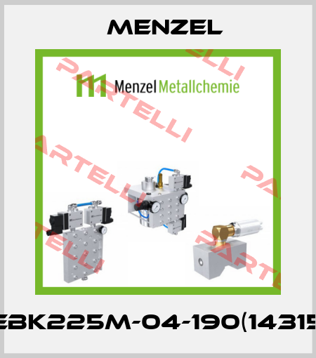 MEBK225M-04-190(143154) Menzel
