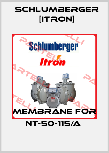 membrane for NT-50-115/A  Schlumberger [Itron]