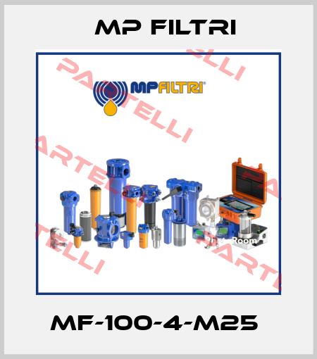 MF-100-4-M25  MP Filtri