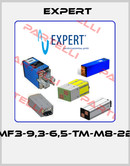 MF3-9,3-6,5-TM-M8-2B  Expert
