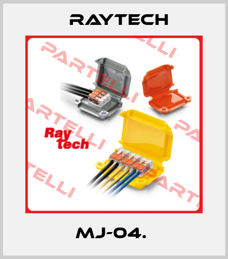 MJ-04.  Raytech