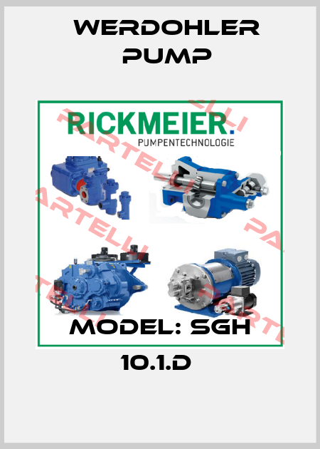 MODEL: SGH 10.1.D  Werdohler Pump
