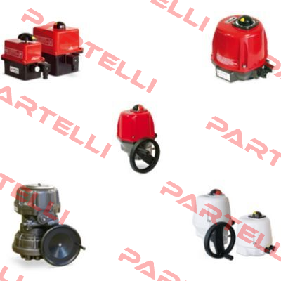 MODULE (FOR ELECTROVALVE ER45.958R)  Valpes