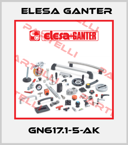 GN617.1-5-AK Elesa Ganter
