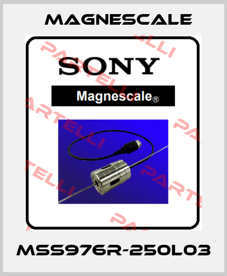 MSS976R-250L03 Magnescale