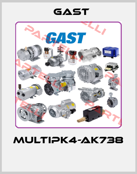 MULTIPK4-AK738  Gast