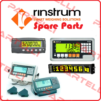 N320 - OBSOLETE, CURRENT MODEL R320  Rinstrum