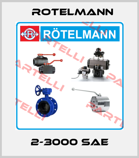 2-3000 SAE Rotelmann