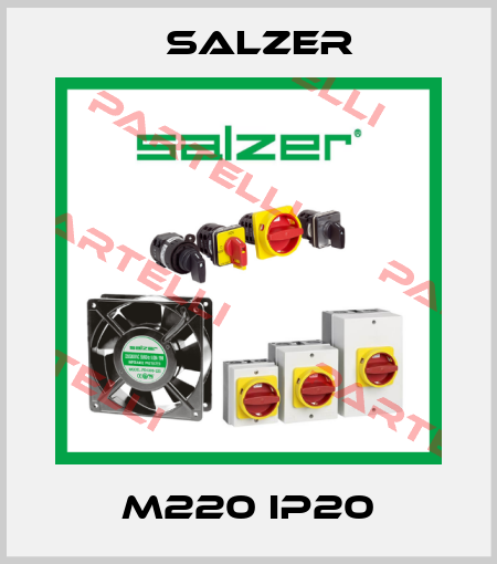 M220 IP20 Salzer