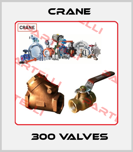 Ǿ 300 VALVES  Crane