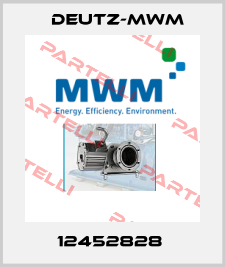 12452828  Deutz-mwm