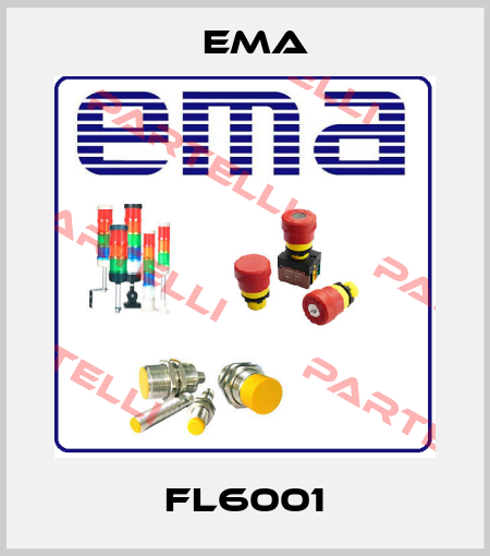 Fl6001 EMA