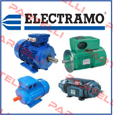 DM160L484, MSD160L-4/8 Electramo