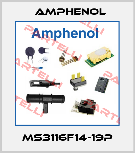 MS3116F14-19P Amphenol