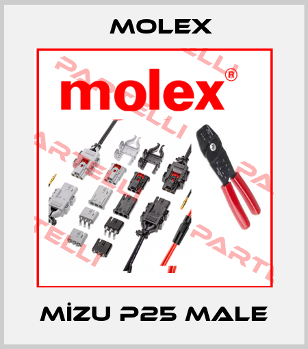 MİZU P25 male Molex