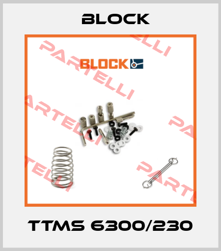 TTMS 6300/230 Block