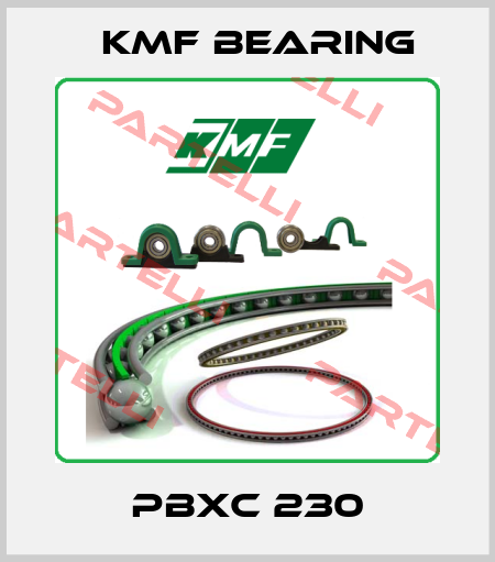 PBXC 230 KMF Bearing