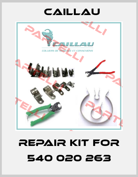 Repair kit for 540 020 263 Caillau