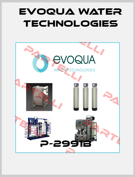 P-2991B  Evoqua Water Technologies
