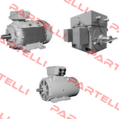 12AA  100L2-4   UD 0806/2007730320 Lammers