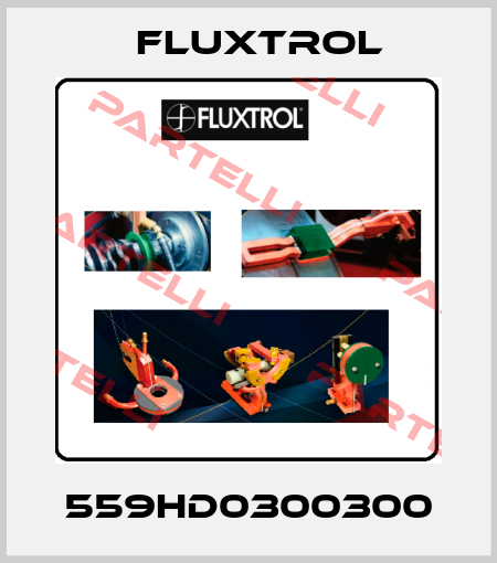 559HD0300300 Fluxtrol