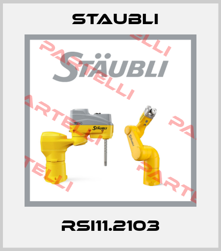 RSI11.2103 Staubli
