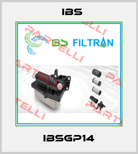 IBSGP14 Ibs