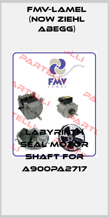 Labyrinth seal motor shaft for A900PA2717 FMV-Lamel (now Ziehl Abegg)