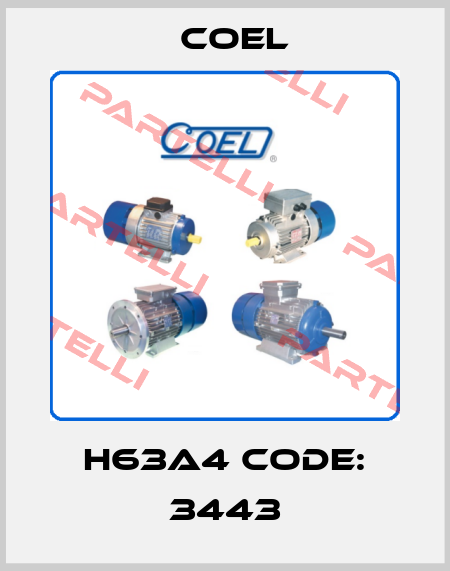 H63A4 CODE: 3443 Coel