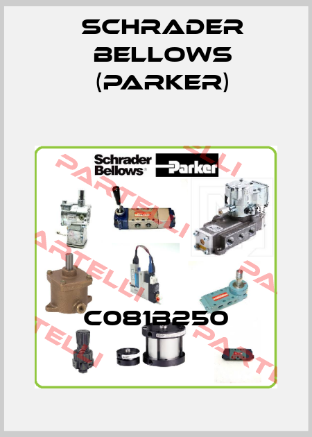 C081B250 Schrader Bellows (Parker)