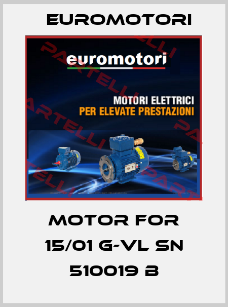 Motor for 15/01 G-VL SN 510019 B Euromotori