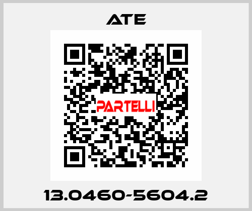 13.0460-5604.2 Ate