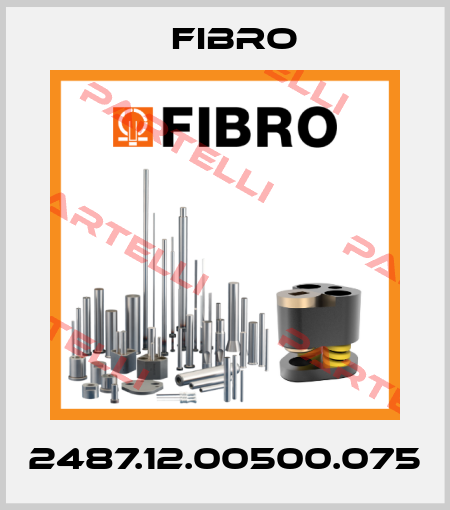 2487.12.00500.075 Fibro