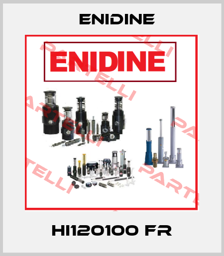HI120100 FR Enidine