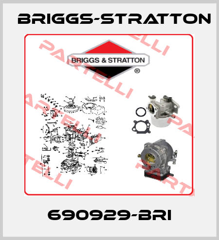 690929-BRI Briggs-Stratton
