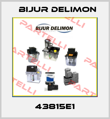 43815E1 Bijur Delimon