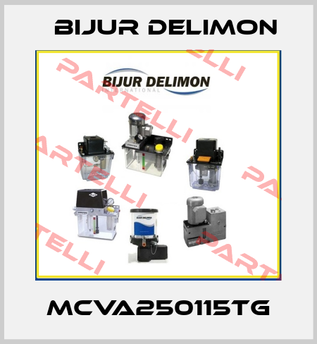 MCVA250115TG Bijur Delimon