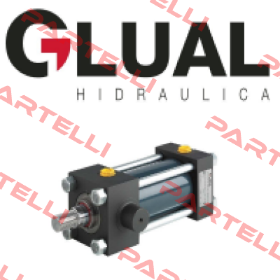 KI-40/28X500-B203-2-AD-A-1-M-30 Glual Hydraulics