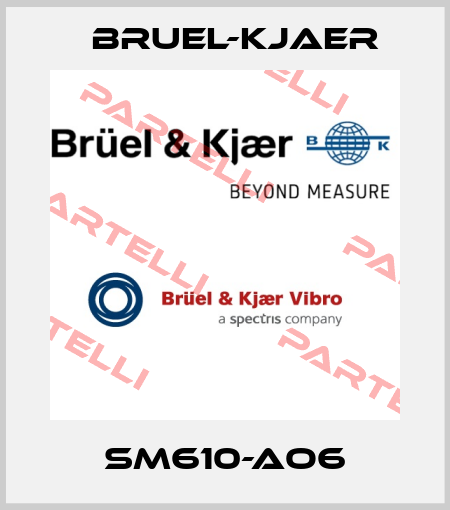 SM610-AO6 Bruel-Kjaer
