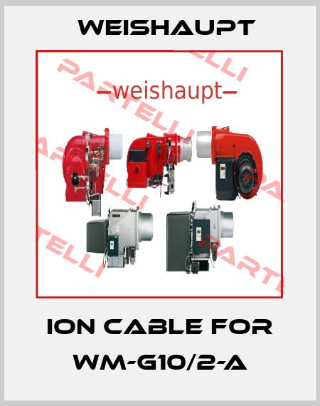 ion cable for WM-G10/2-A Weishaupt