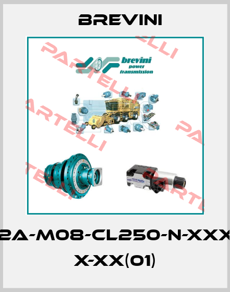 BG-S-160-2A-M08-CL250-N-XXXX-000-XX X-XX(01) Brevini